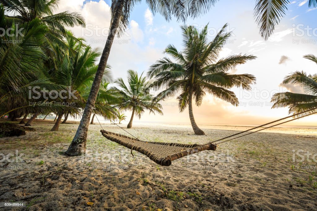 diani beech